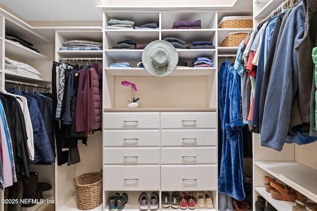 view of walk in closet