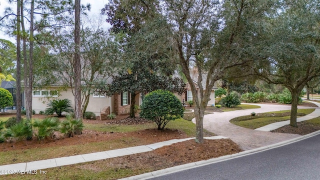 view of property hidden behind natural elements