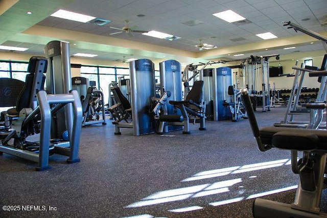 workout area with a paneled ceiling, a wealth of natural light, and ceiling fan