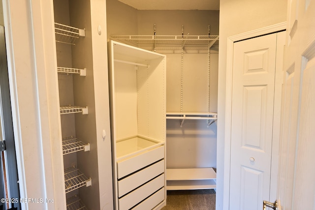 view of spacious closet