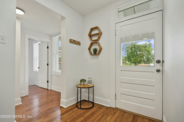 entryway featuring wood-type flooring