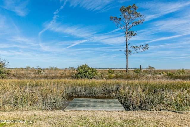 view of yard featuring a rural view