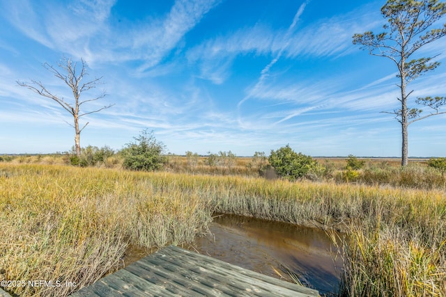 view of nature