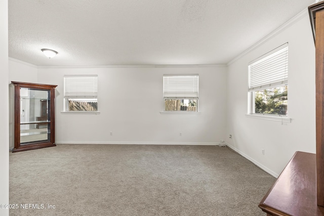 empty room with ornamental molding, carpet floors, and a textured ceiling