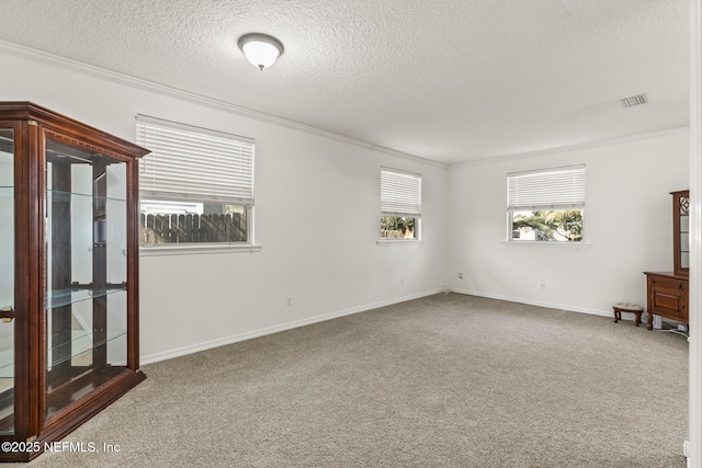 spare room featuring ornamental molding, carpet flooring, and a textured ceiling