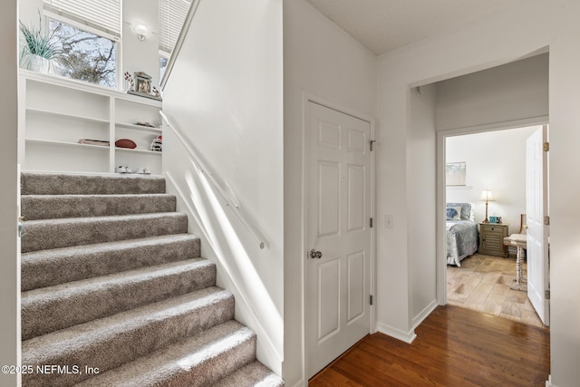 staircase featuring wood-type flooring