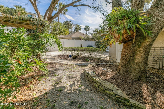 view of yard with a patio area