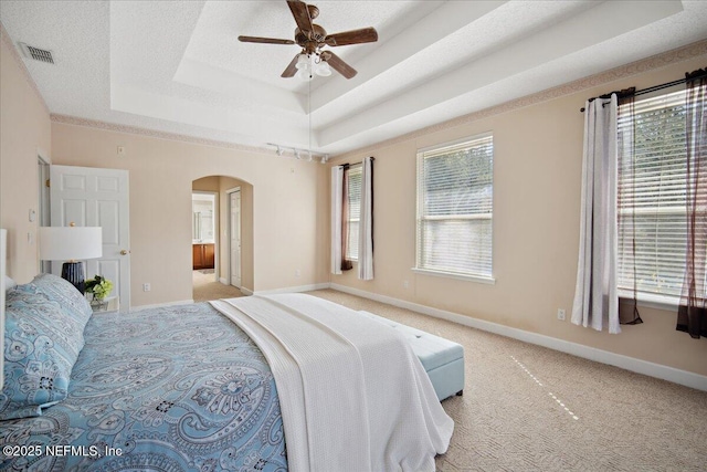 bedroom featuring multiple windows, light colored carpet, a raised ceiling, and a textured ceiling