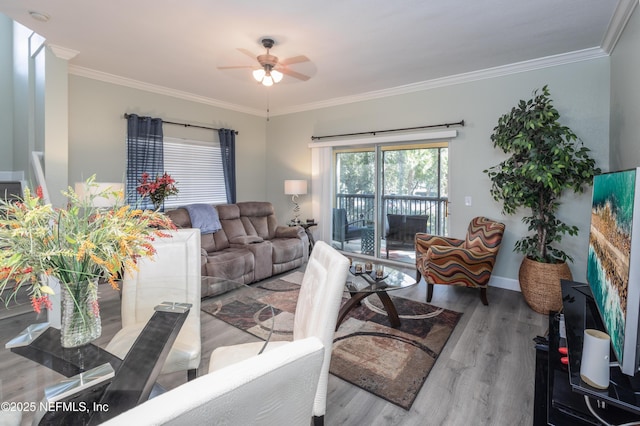 living room featuring ornamental molding, ceiling fan, and light hardwood / wood-style floors