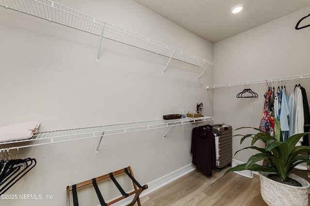 walk in closet with light hardwood / wood-style flooring