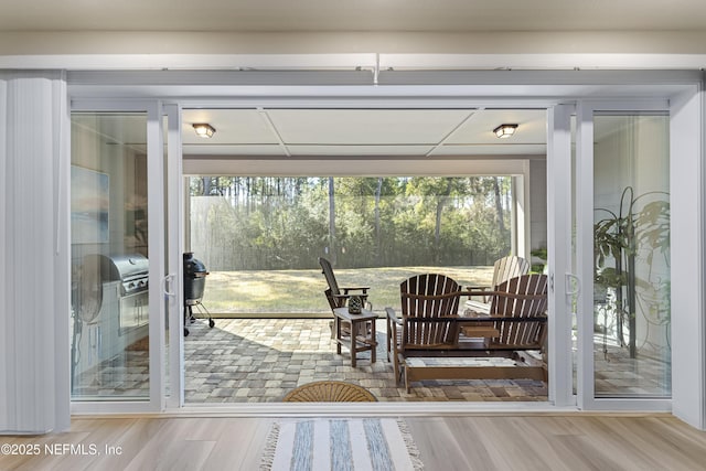 doorway to outside with light hardwood / wood-style floors