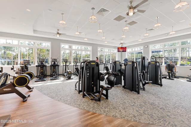 gym featuring ceiling fan, a raised ceiling, and hardwood / wood-style floors