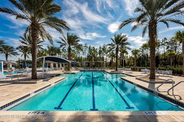 view of swimming pool featuring a patio area