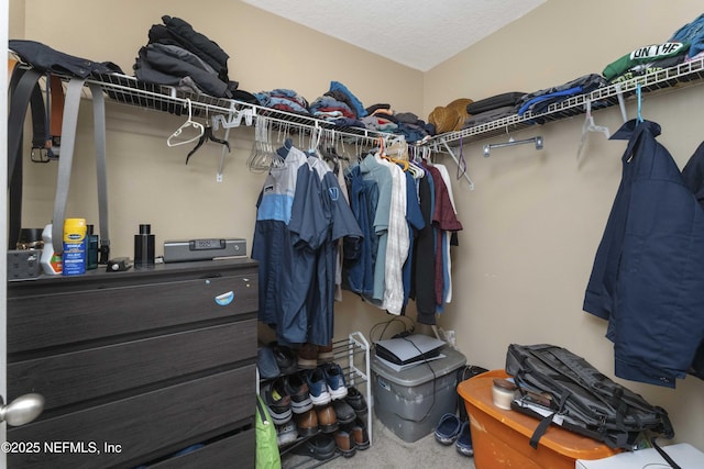 view of spacious closet