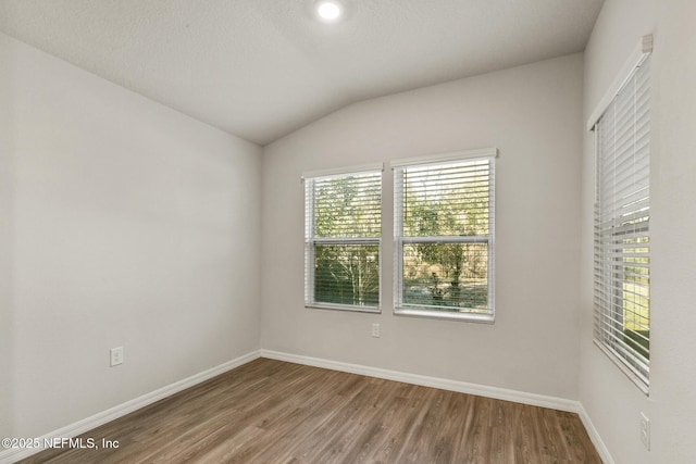 empty room with lofted ceiling and hardwood / wood-style floors