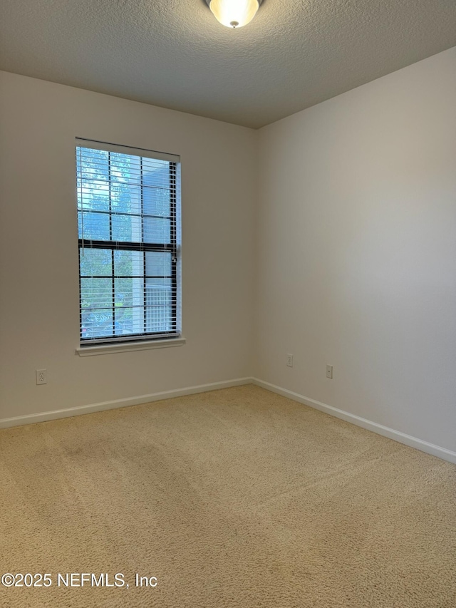 spare room with carpet floors and a textured ceiling