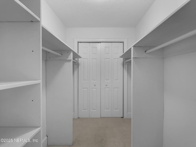 walk in closet with carpet flooring