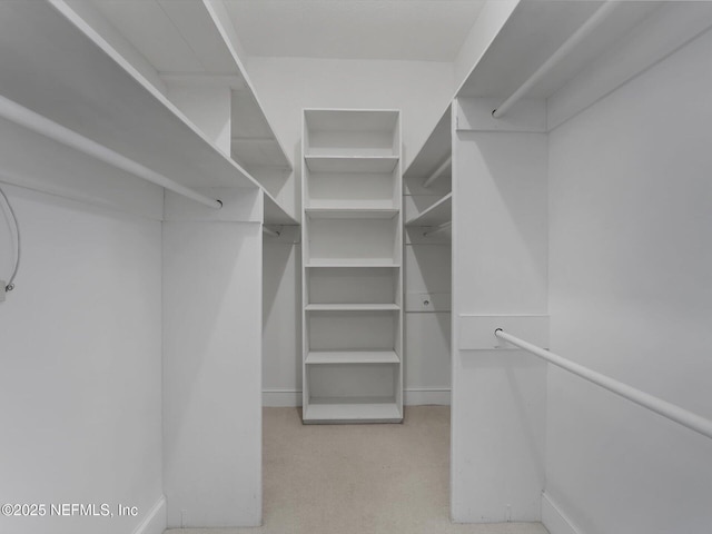 spacious closet featuring light colored carpet