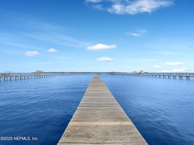 dock area with a water view