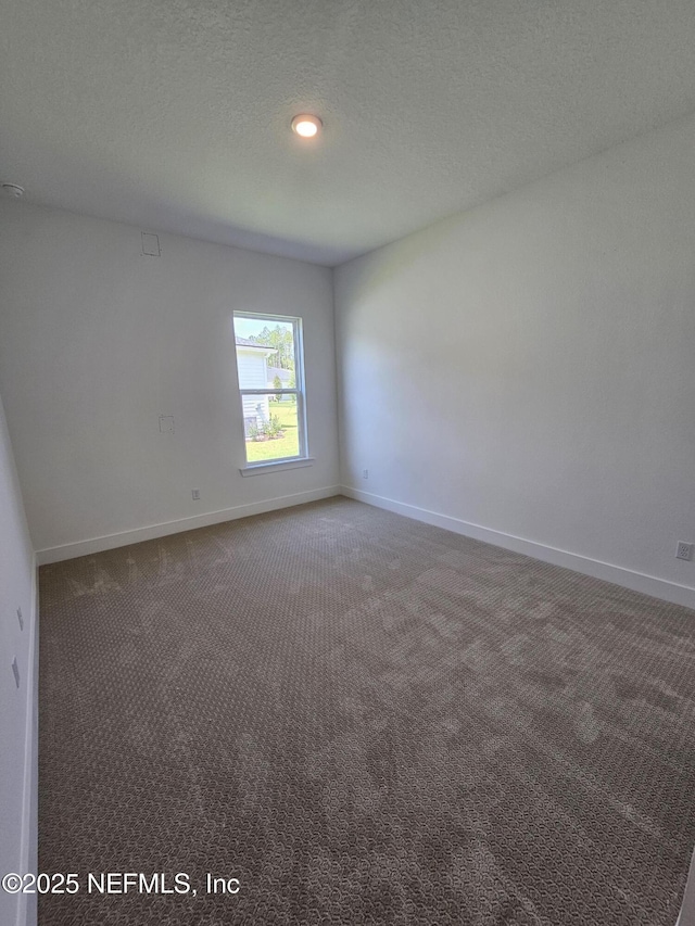 101 Erlking Ct, Saint Johns, FL 32259 - spare room with carpet and a textured ceiling