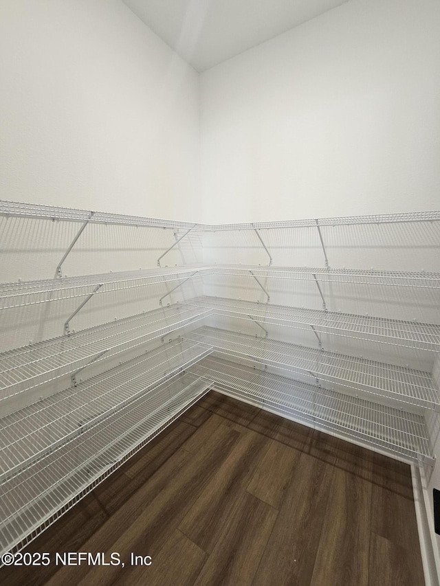 101 Erlking Ct, Saint Johns, FL 32259 - view of pantry