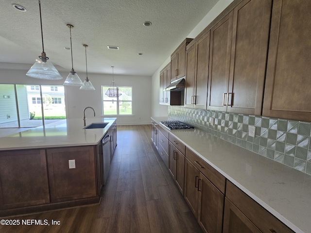 101 Erlking Ct, Saint Johns, FL 32259 - kitchen with under cabinet range hood, dark wood finished floors, stainless steel appliances, decorative backsplash, and light countertops