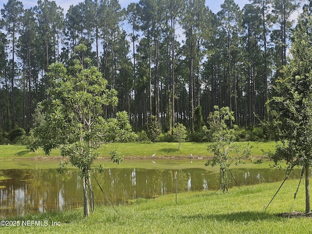 101 Erlking Ct, Saint Johns, FL 32259 - water view