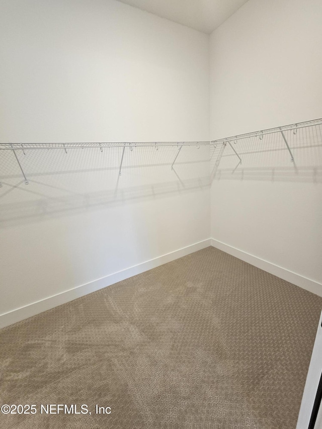 101 Erlking Ct, Saint Johns, FL 32259 - spacious closet featuring carpet