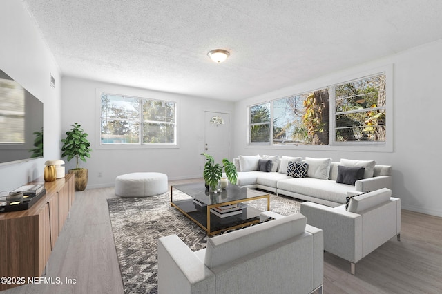 living room with light hardwood / wood-style flooring and a textured ceiling