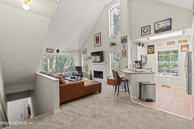 carpeted living room featuring high vaulted ceiling