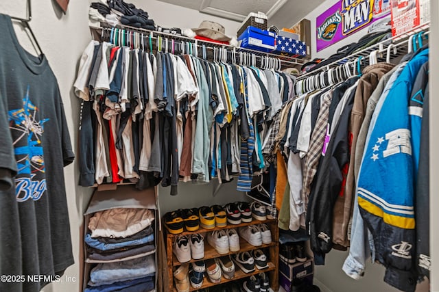 view of spacious closet