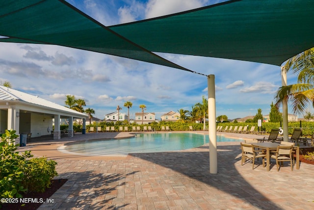 view of pool featuring a patio area