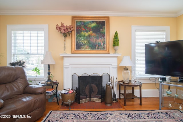 living room with wood-type flooring, a fireplace, ornamental molding, and a healthy amount of sunlight