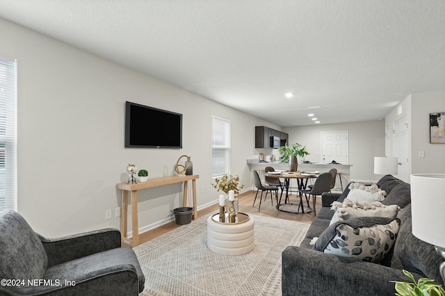 living room with a textured ceiling and light wood-type flooring