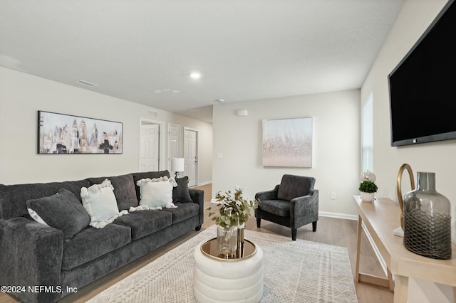 living room featuring light hardwood / wood-style flooring