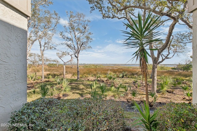 view of yard featuring a rural view