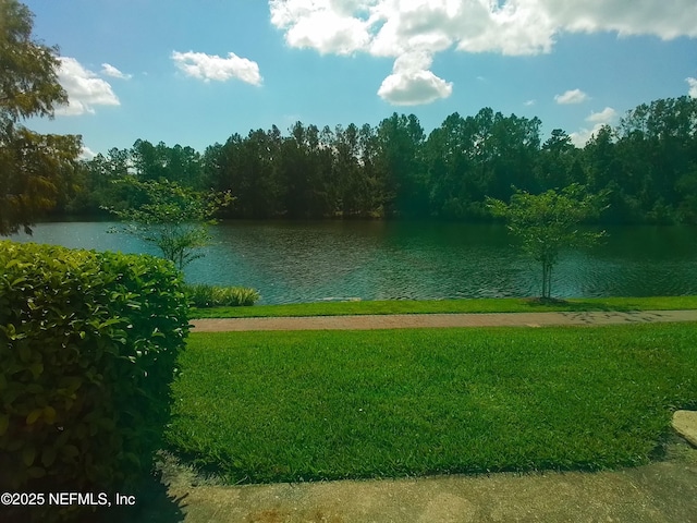 view of property's community featuring a water view and a lawn