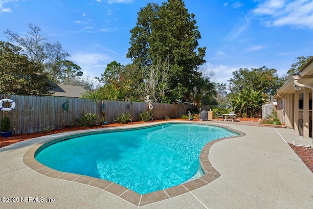 view of pool featuring a patio