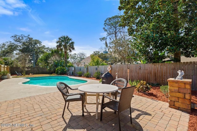 view of pool with a patio