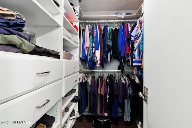 view of walk in closet