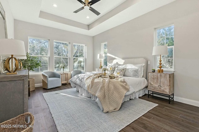 bedroom with multiple windows, a tray ceiling, dark wood-type flooring, and ceiling fan