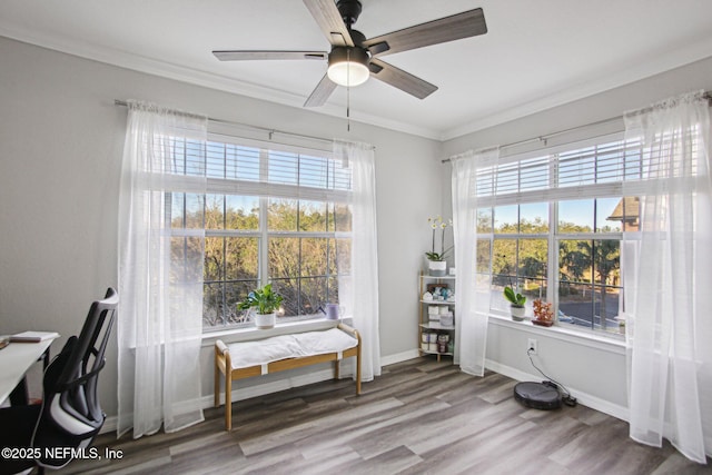 interior space featuring hardwood / wood-style floors, ornamental molding, and ceiling fan