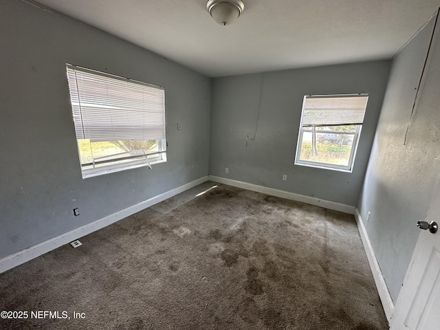 carpeted spare room with a wealth of natural light