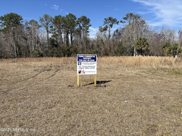 1000 Cooks Ln, Green Cove Springs FL, 32043 land for sale