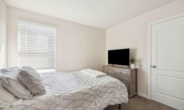 bedroom featuring carpet flooring