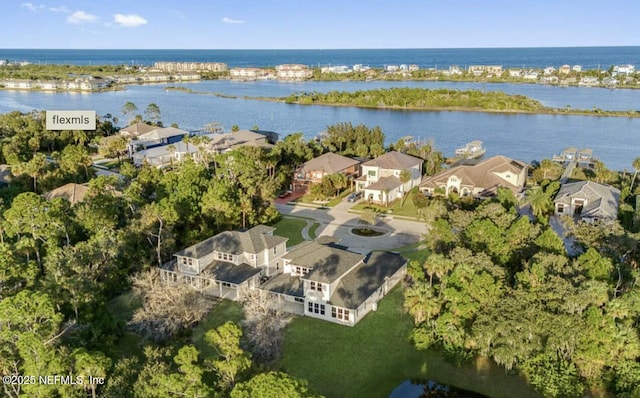 aerial view with a water view