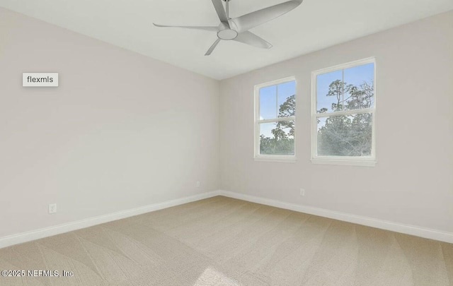 empty room featuring ceiling fan and carpet flooring