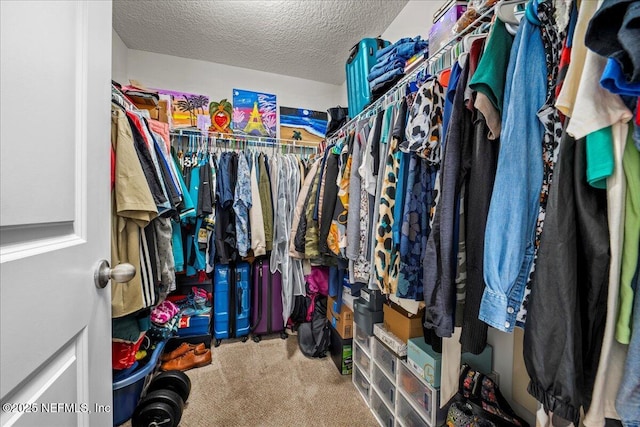 spacious closet with carpet flooring