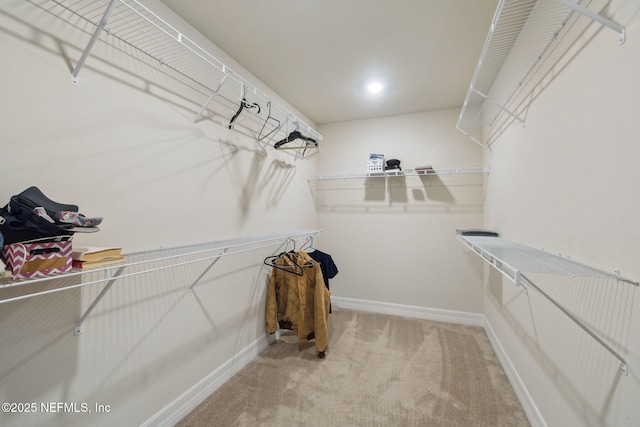 walk in closet featuring carpet flooring