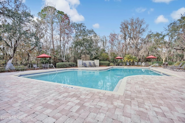 view of pool with a patio area